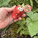 Gemüsestecker Erdbeere 2.webp