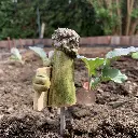 Gemüsestecker Brokkoli1.webp