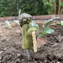 Gemüsestecker Brokkoli3.webp