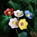 IMG_20250414_145419_edit_37770470167673.webp