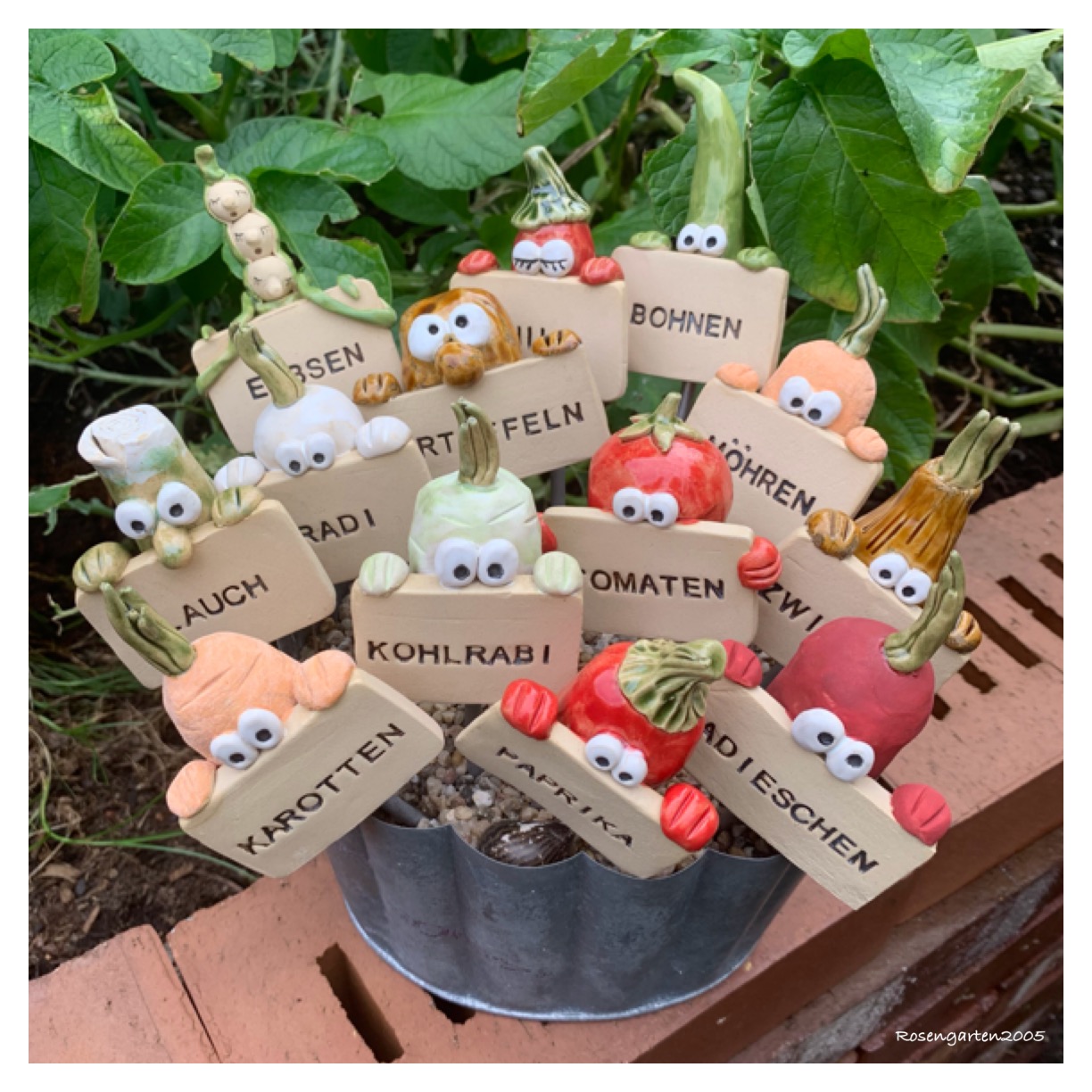 Gemüsestecler verschiedenen Sorten