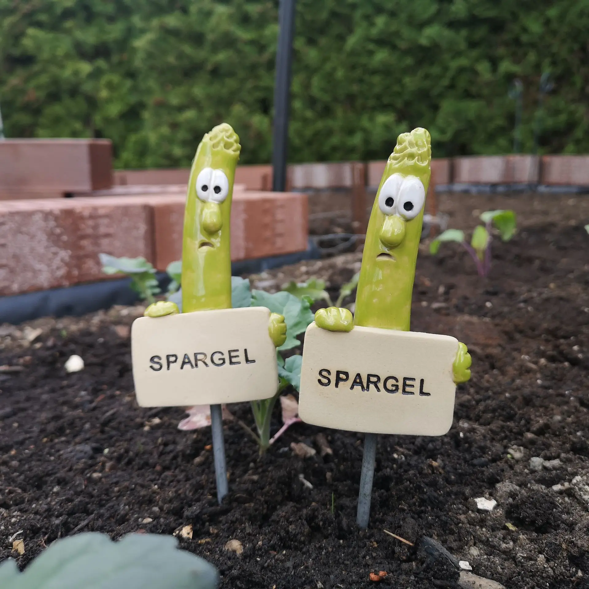 Gemüsestecker Spargel