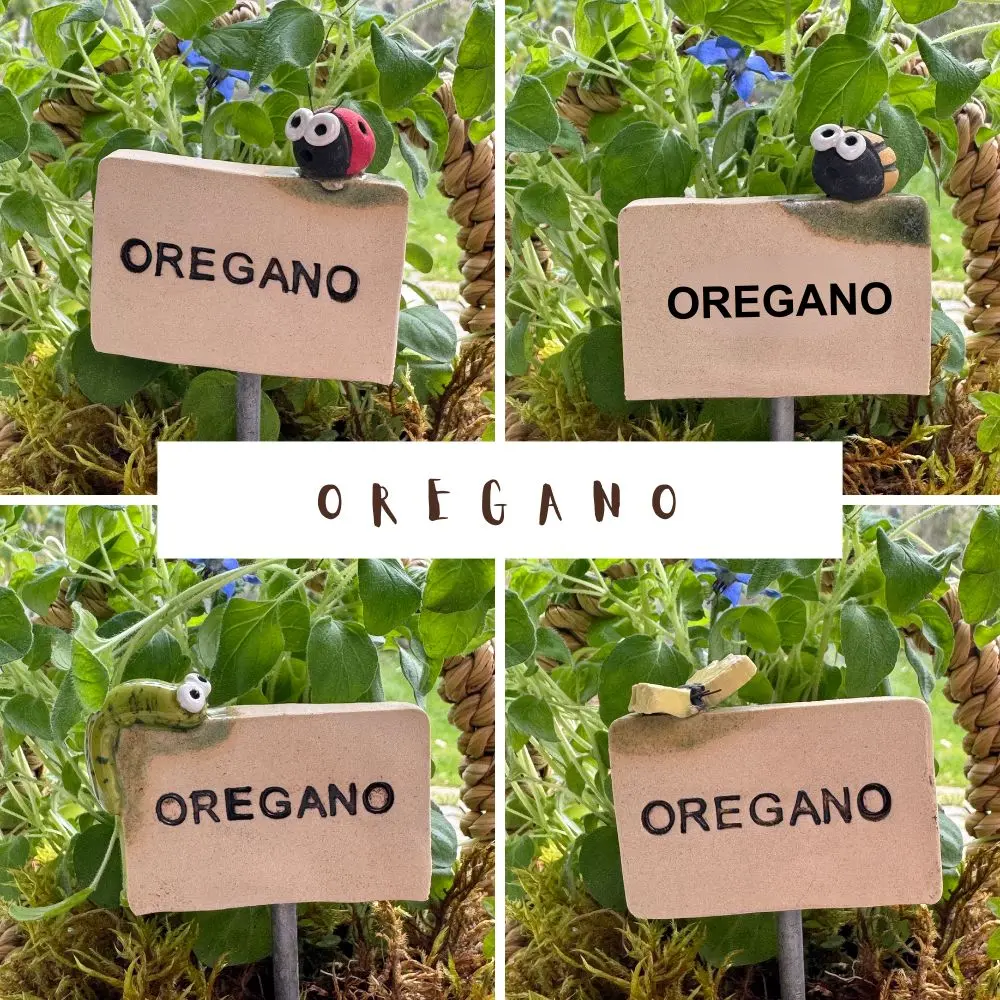 Kräuterstecker-Oregano.webp