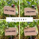 Kräuterstecker-Oregano.webp