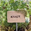 Kräuterstecker-Kraut-Raupe.webp