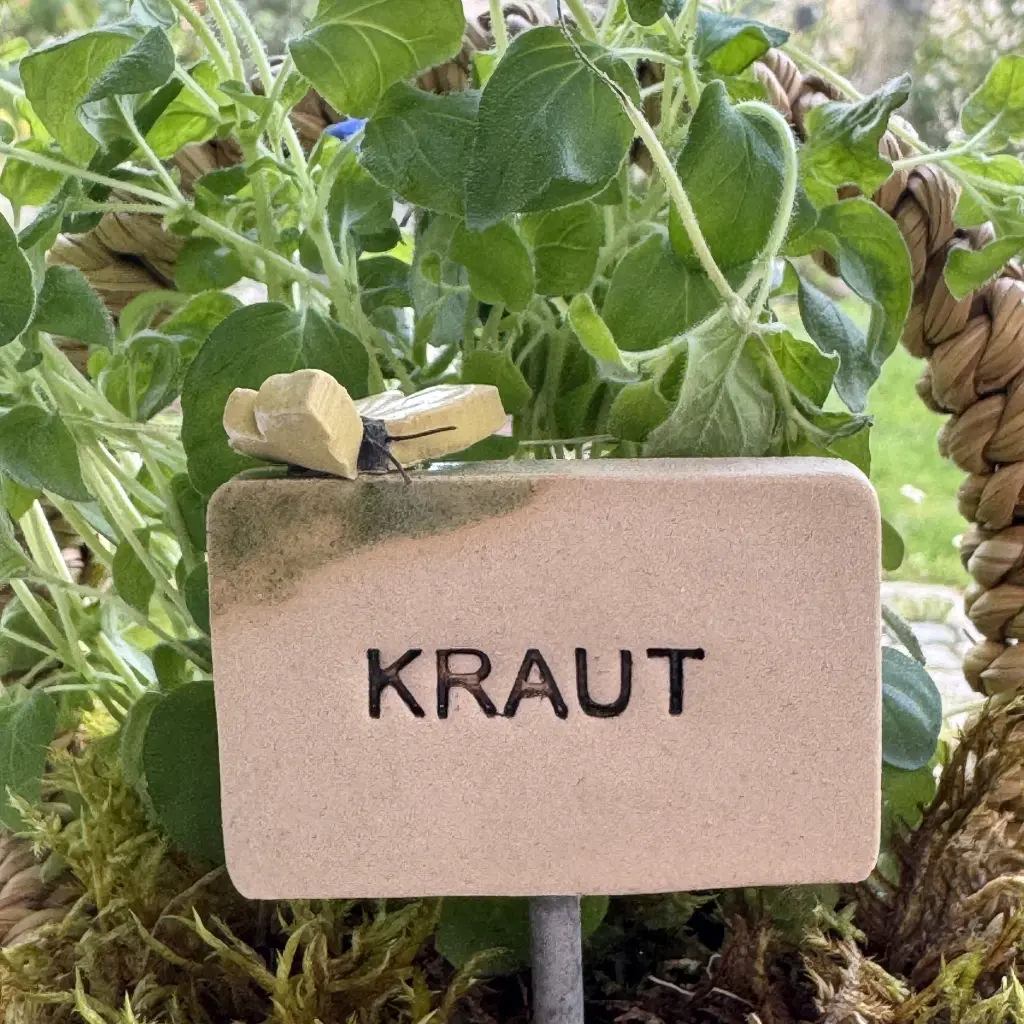 Kräuterstecker-Kraut-Schmetterling.webp