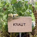 Kräuterstecker-Kraut-Schmetterling.webp