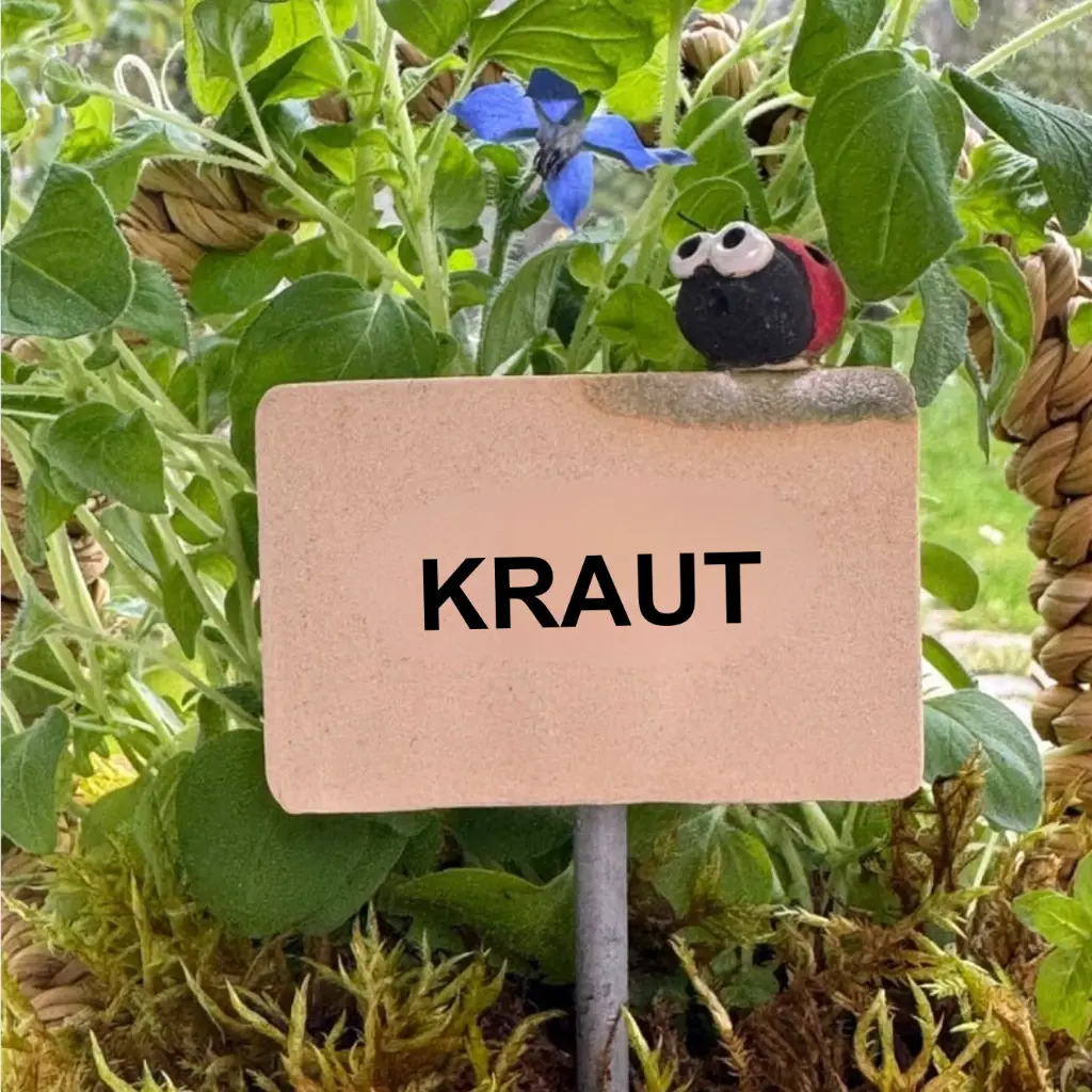 Kräuterstecker-Kraut-Marienkäfer.webp