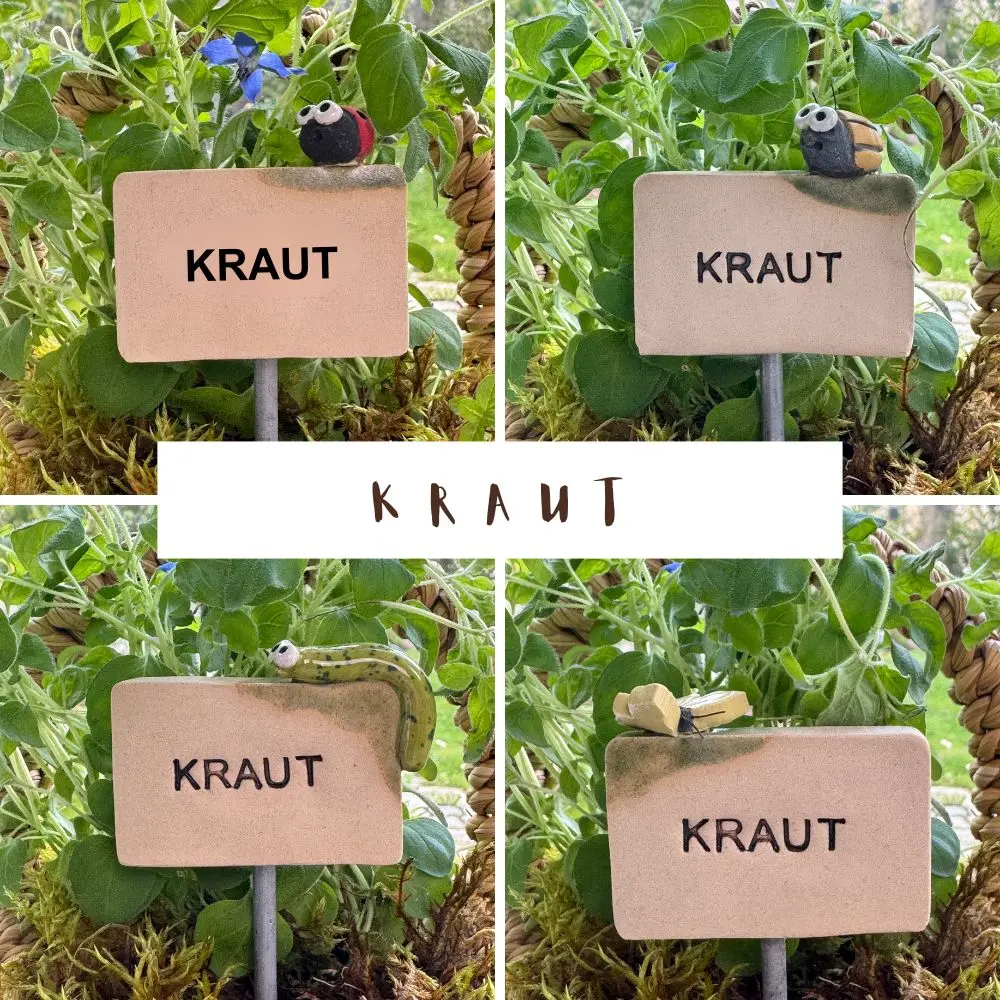 Kräuterstecker-Kraut.webp