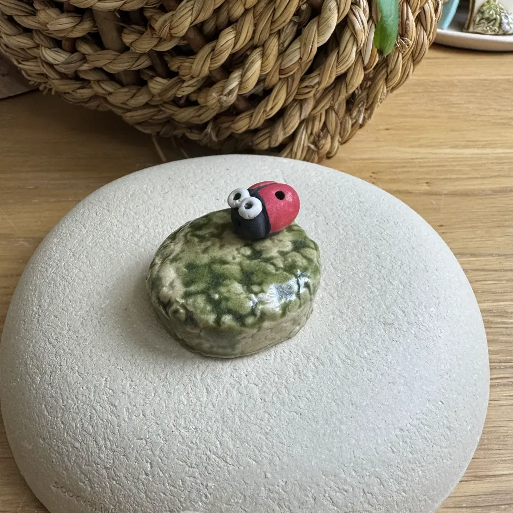 Tränkenstein Marienkäfer 1.webp