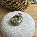 Tränkenstein Marienkäfer 1.webp