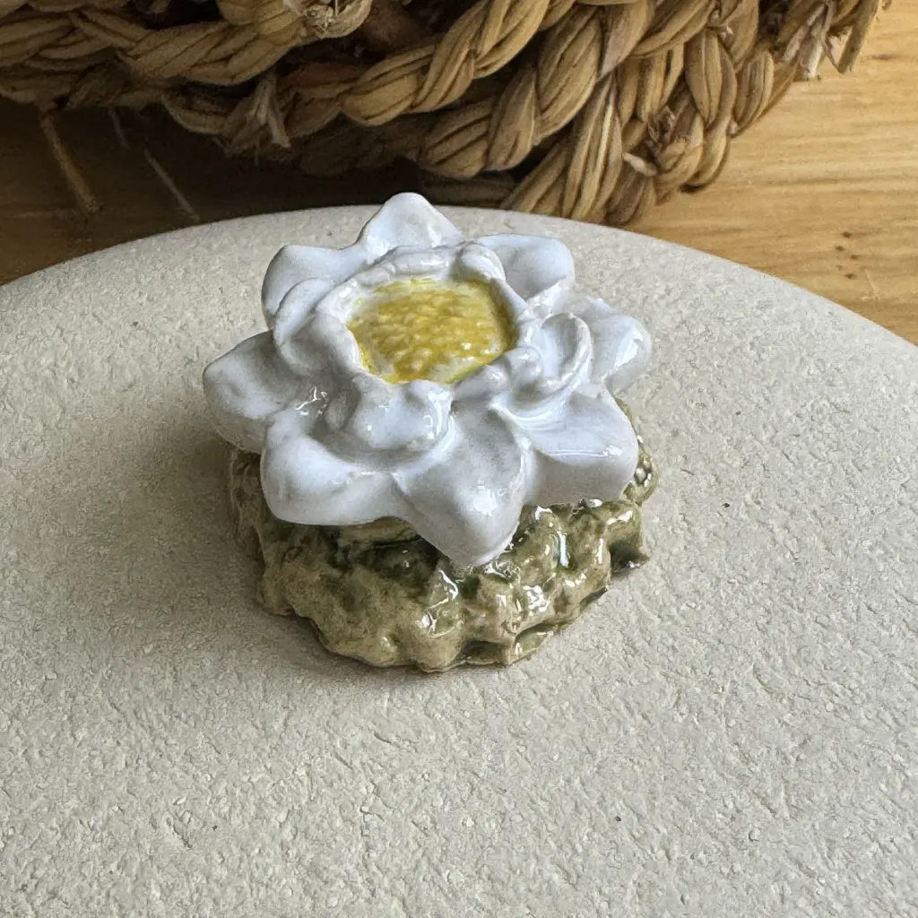 Tränkenstein Blüte 1.webp