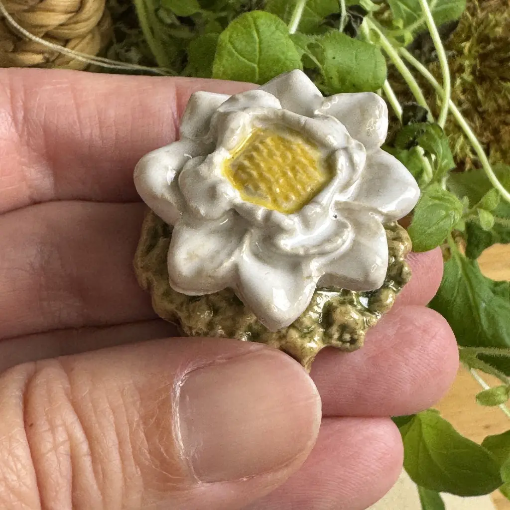 Tränkenstein Blüte.webp