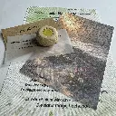 Snailmail Februar.webp