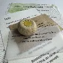 Snailmail Licht.webp