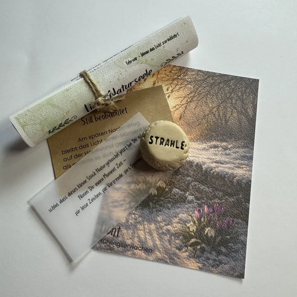 Snailmail Februar 3.webp