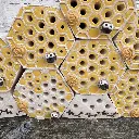 Bienenstein Bienenwabe 0.webp