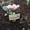 Insektentränke-Bienenbar-rosa.webp