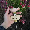 IMG_20250520_184839.webp