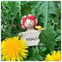 WK-Krauthueterin.webp