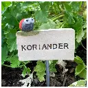 WK-Marienkaefer.webp