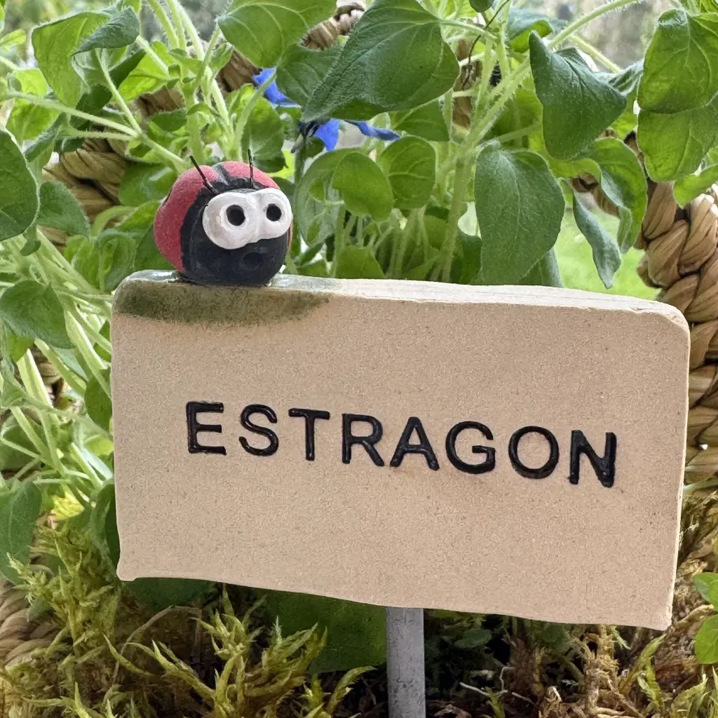 Kräuterstecker-Estragon-Marienkäfer.webp