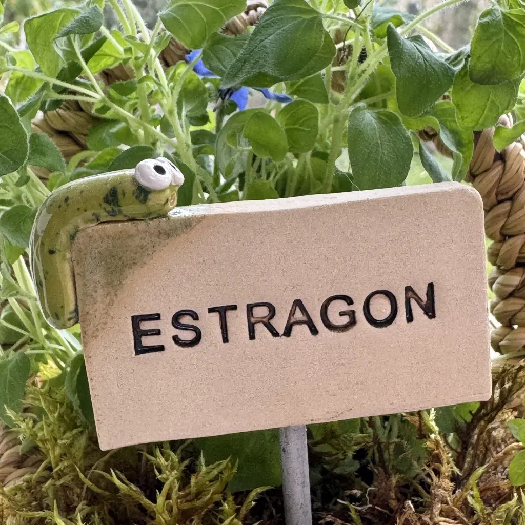 Kräuterstecker-Estragon-Raupe.webp
