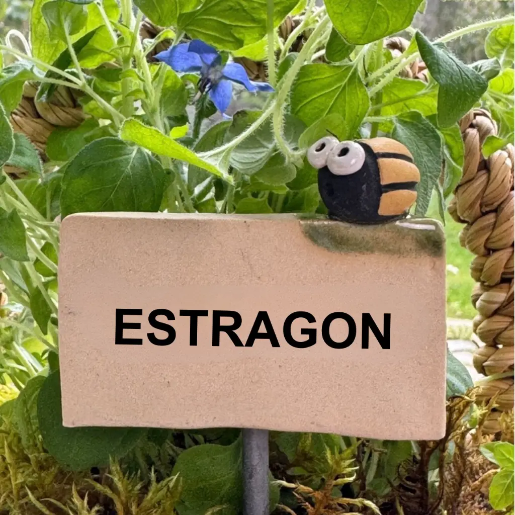 Kräuterstecker-Estragon-Kartoffelkäfer.webp