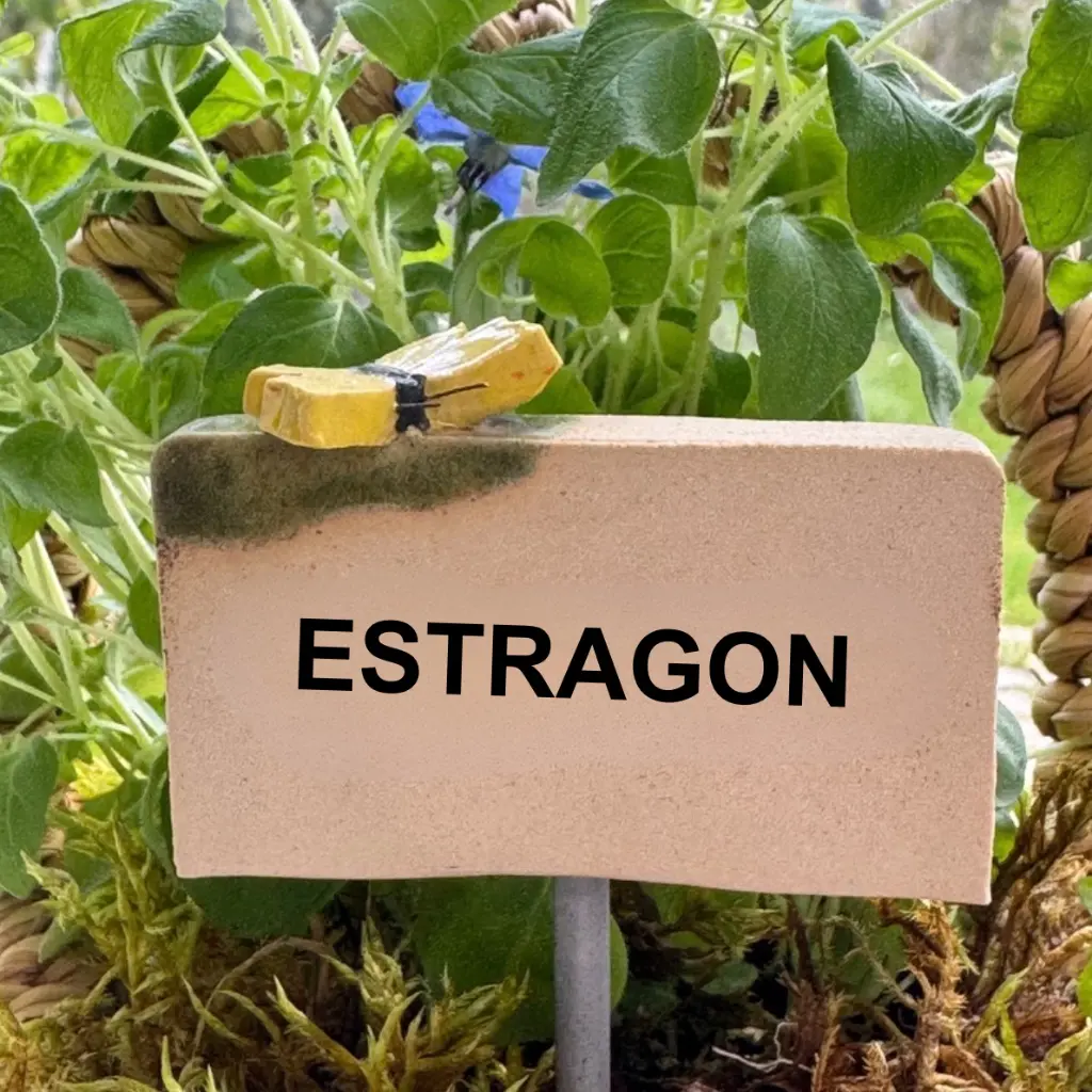 Kräuterstecker-Estragon-Schmetterling.webp