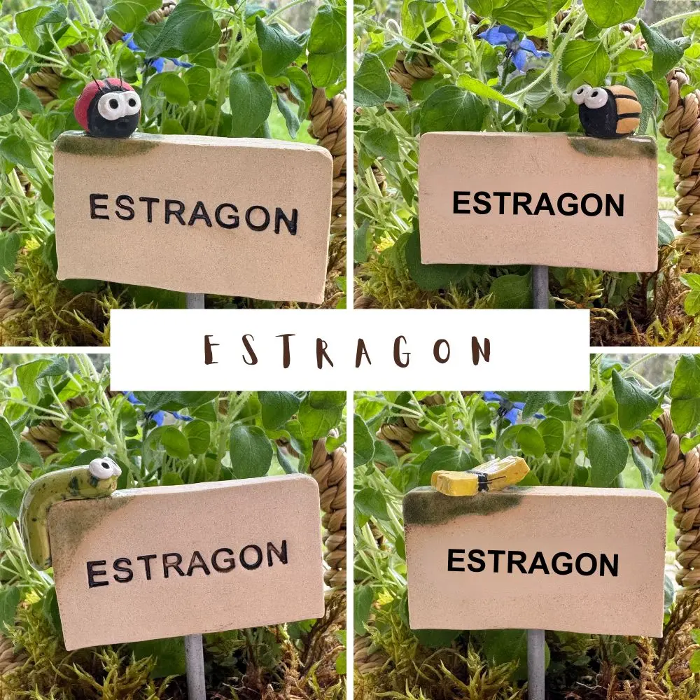 Kräuterstecker-Estragon.webp