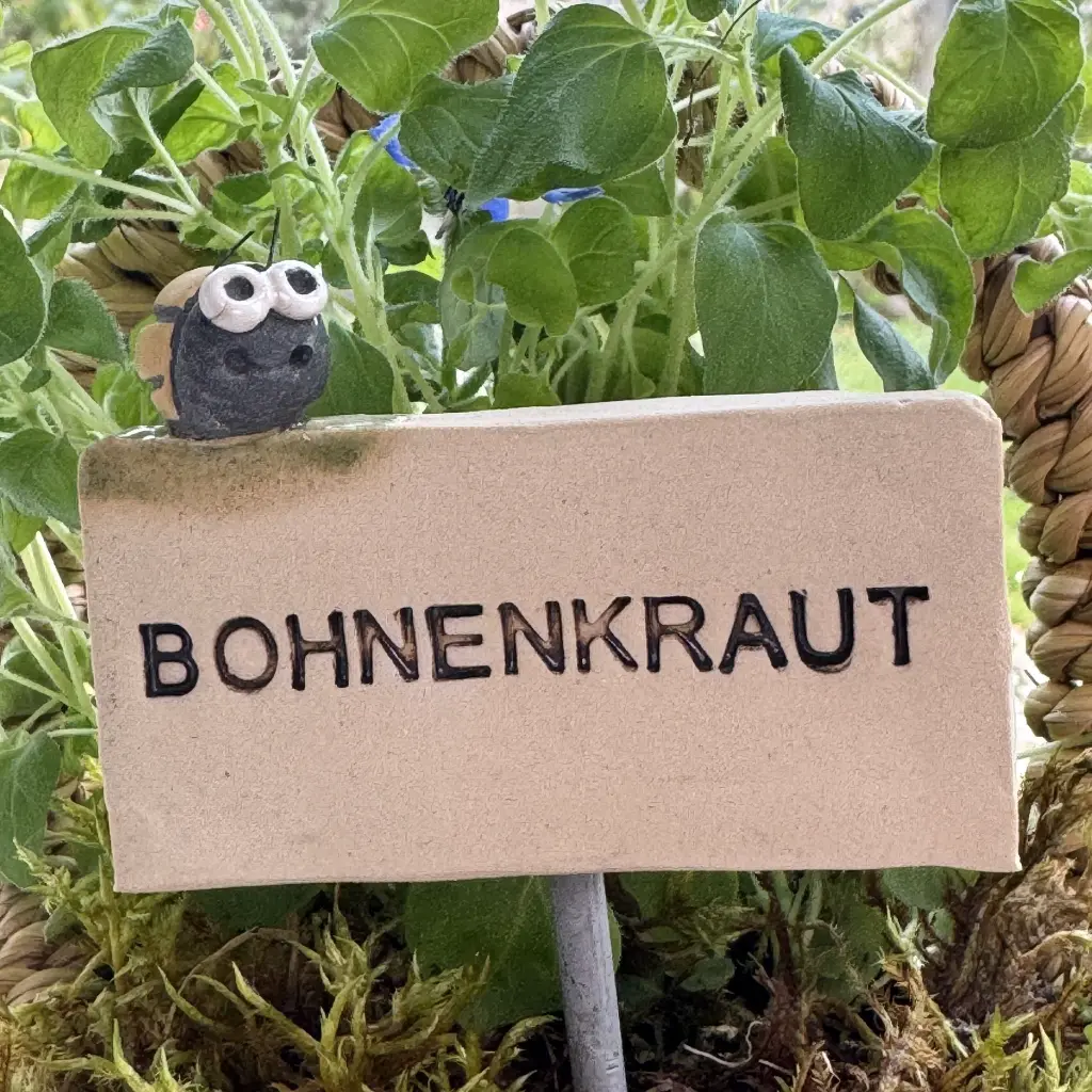 Kräuterstecker-Bohnenkraut-Kartoffelkäfer.webp