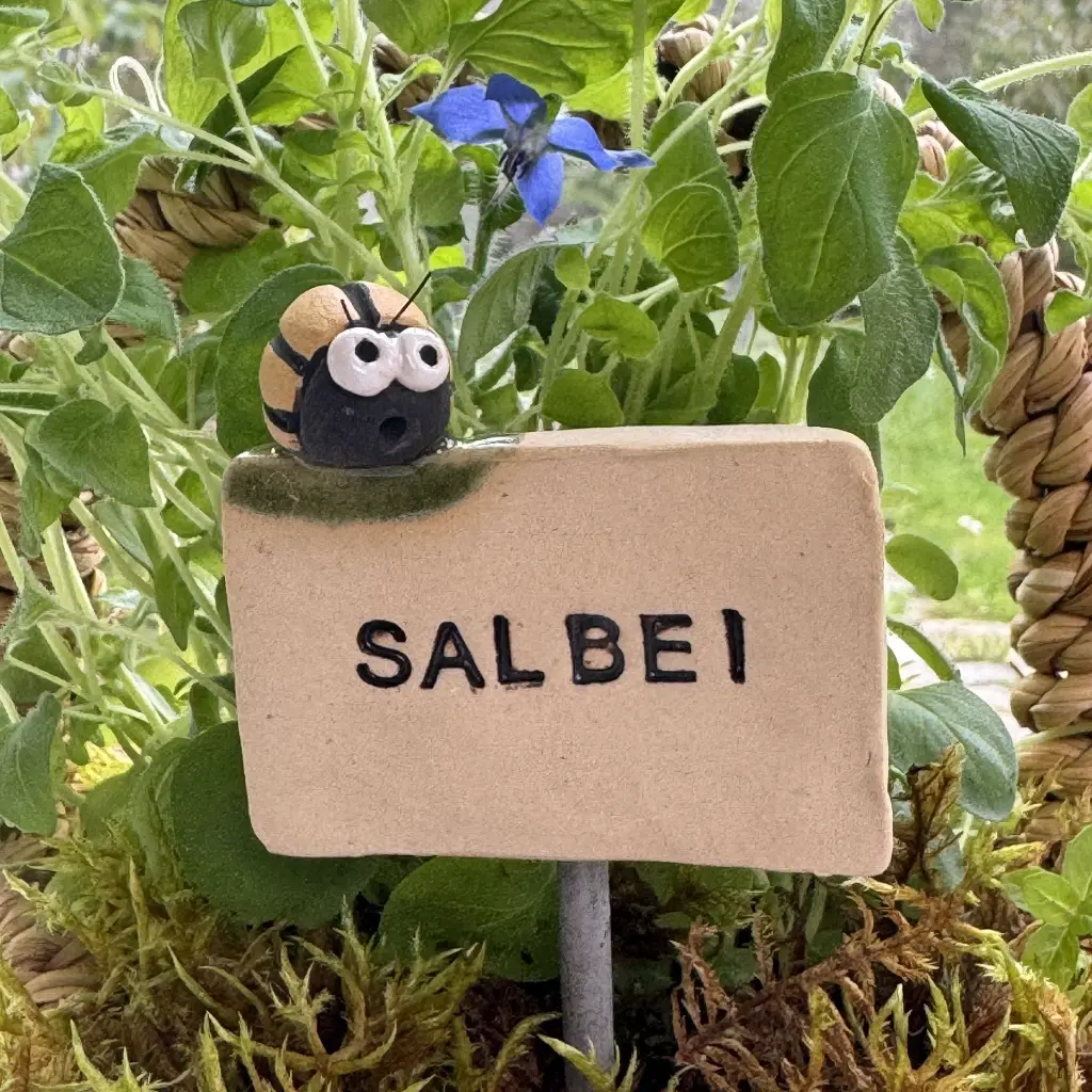 Kräuterstecker-Salbei-Kartoffelkäfer.webp