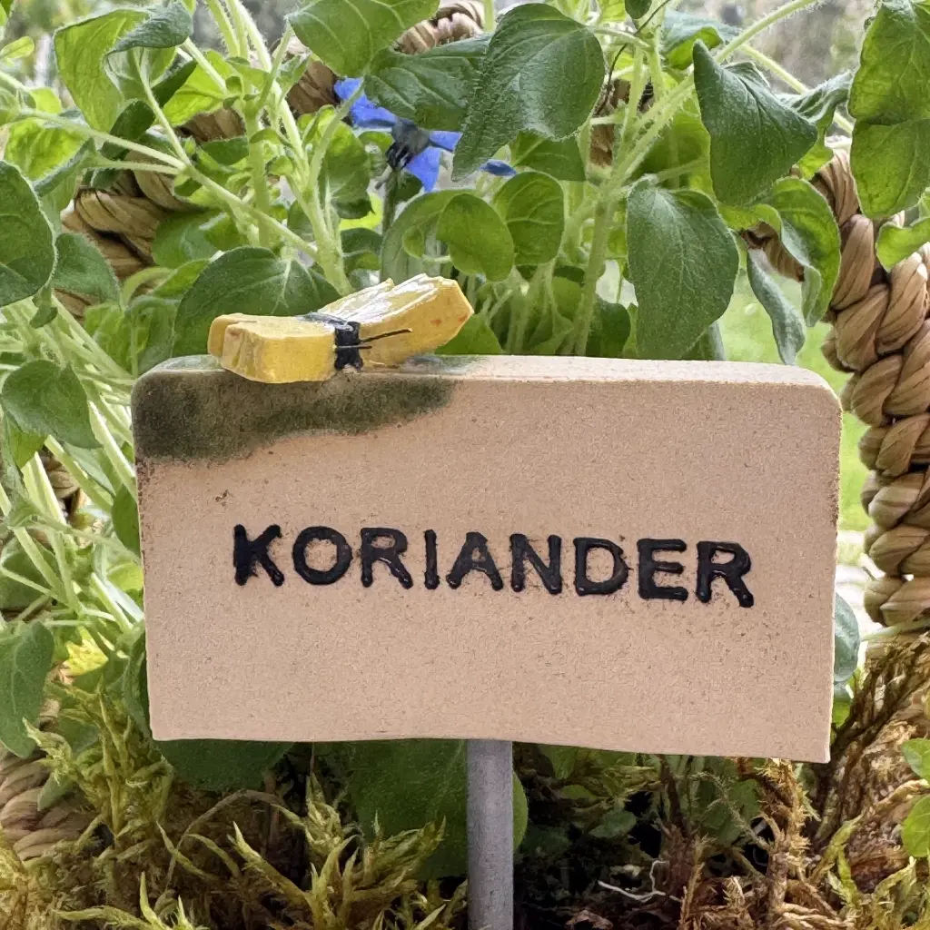 Kräuterstecker-Koriander-Schmetterling.webp