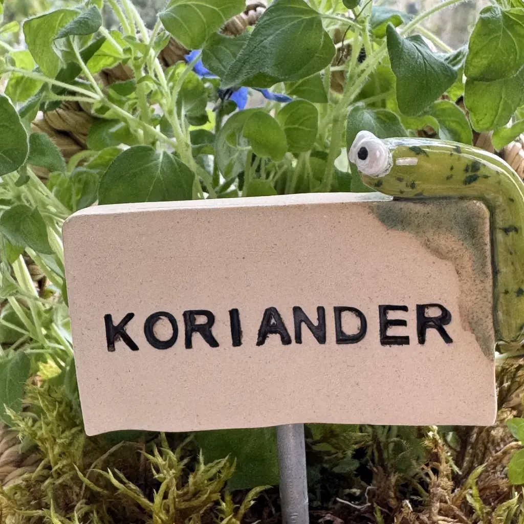 Kräuterstecker-Koriander-Raupe.webp
