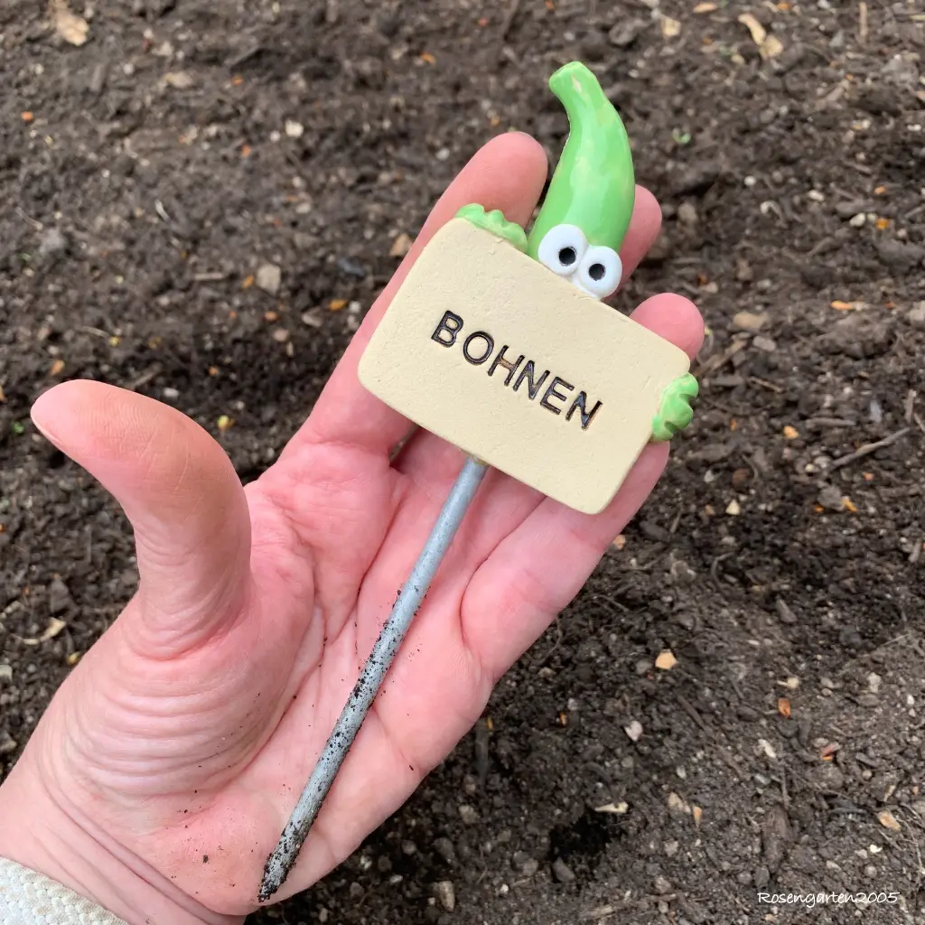 gemüsestecker-bohnen1.webp