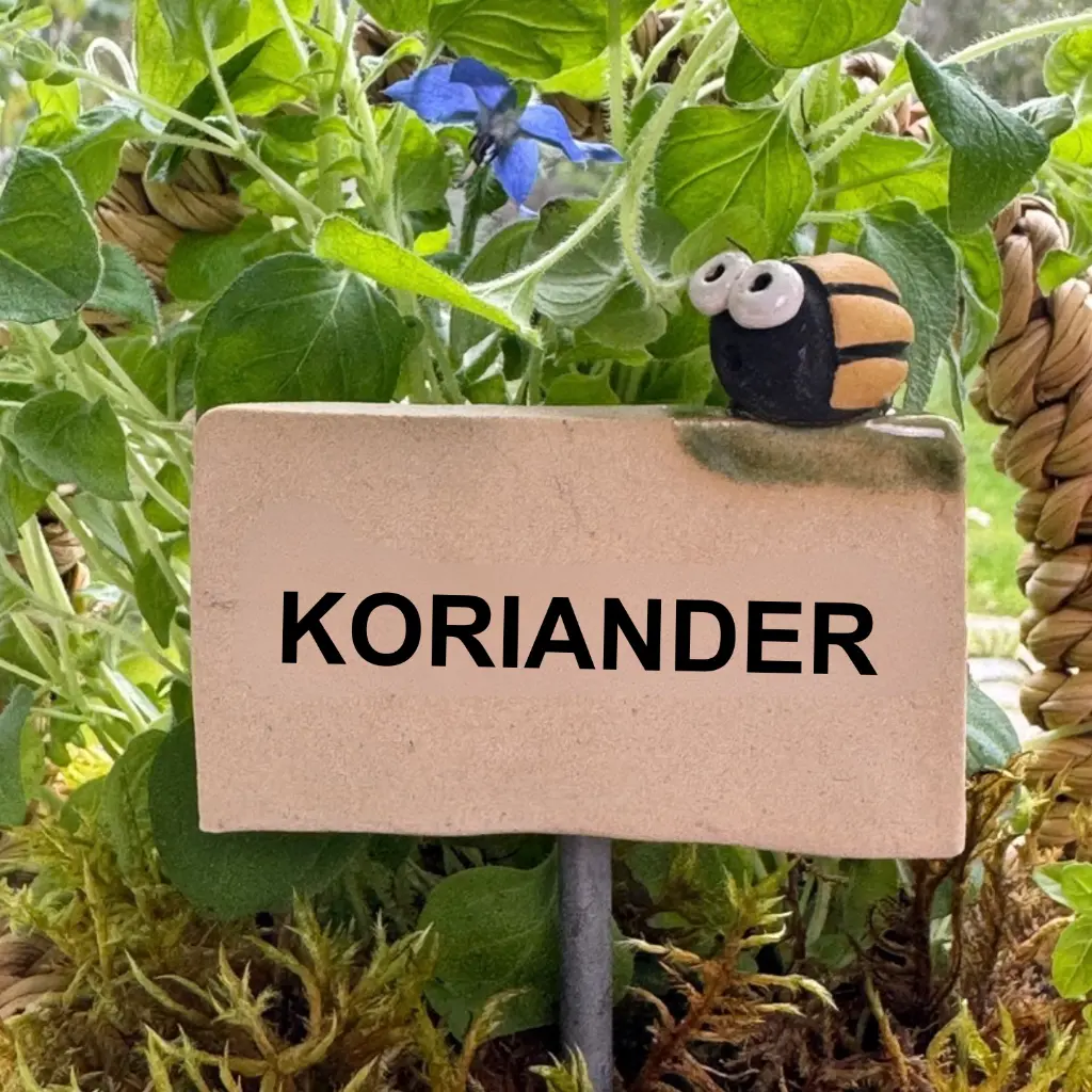 Kräuterstecker-Koriander-Kartoffelkäfer.webp