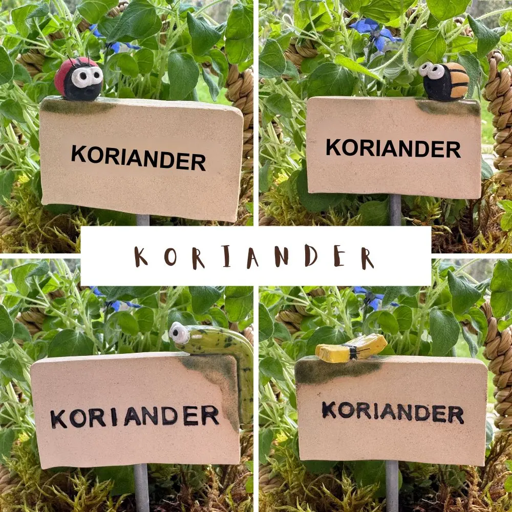 Kräuterstecker-Koriander.webp