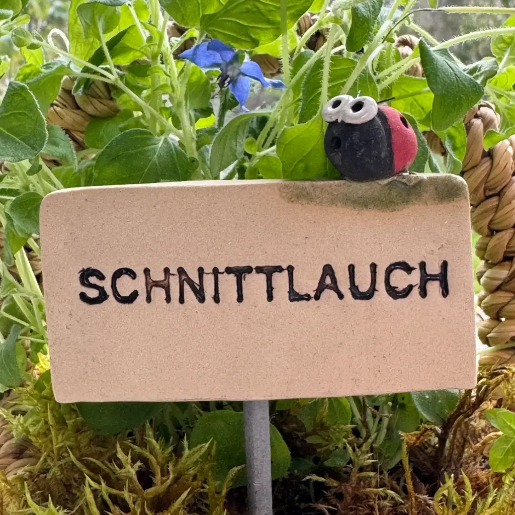 Kräuterstecker Schnittlauch
