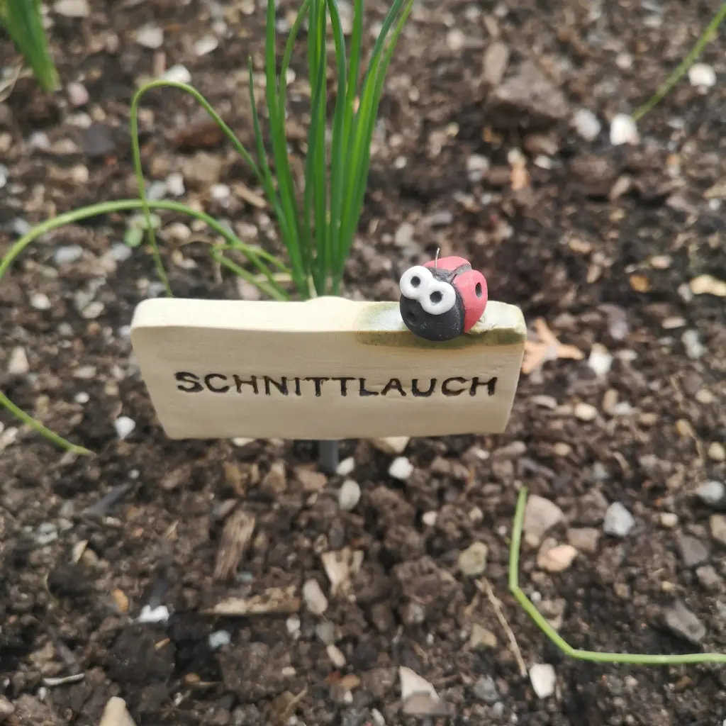 Kräuterstecker Schnittlauch
