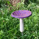 Bienenbar Pilz mini