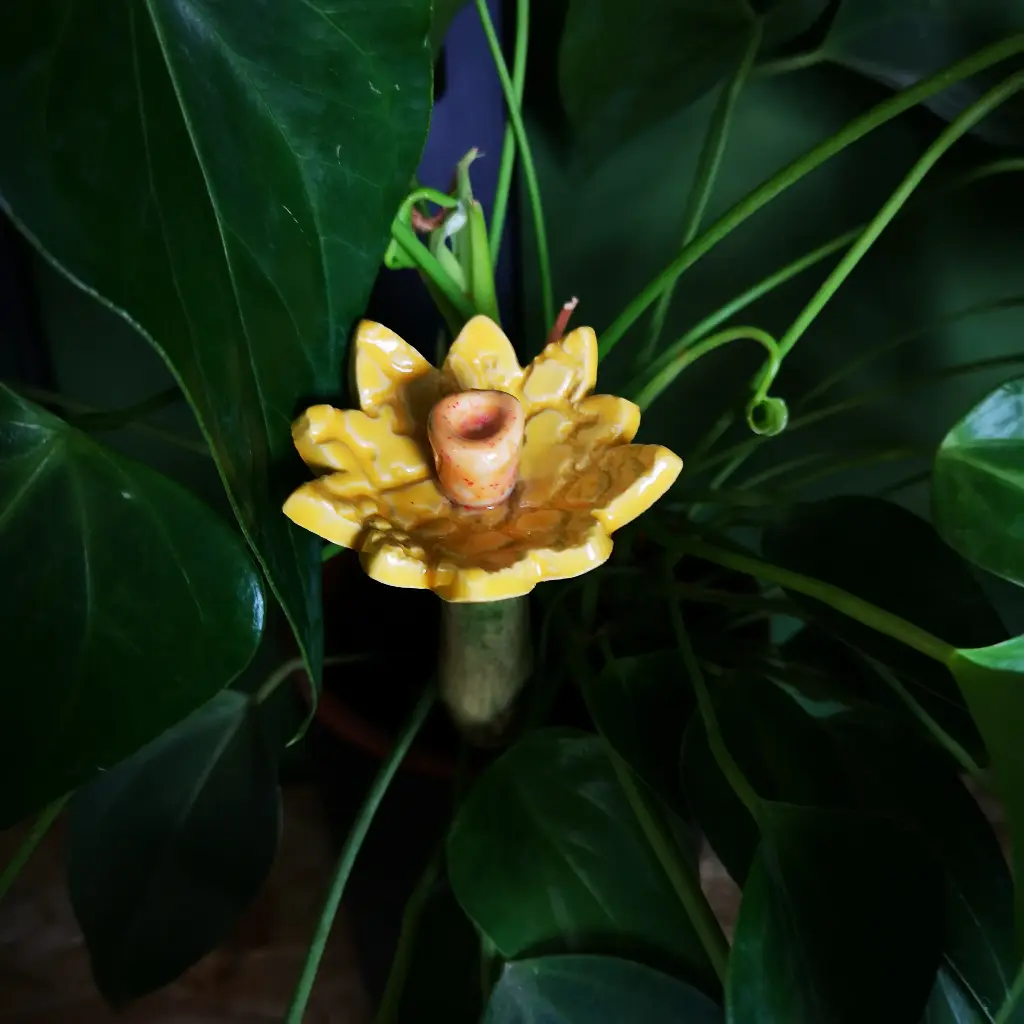 Bienenbar Blume3 mini