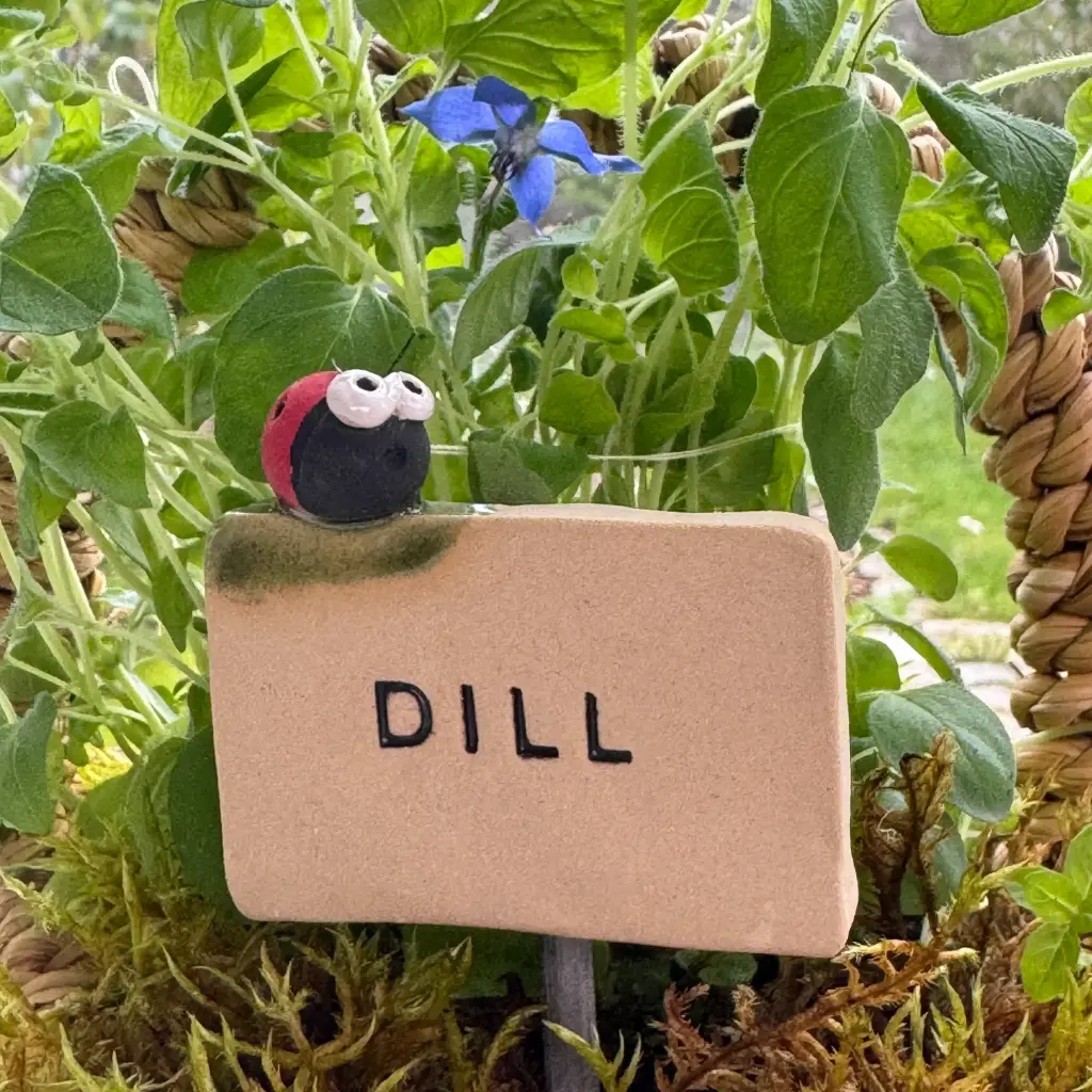 Kräuterstecker Dill