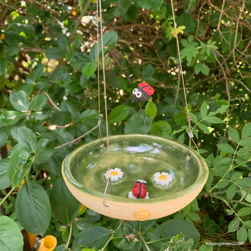 Insektentränke Käferchen