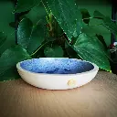 Insektentränke Schale