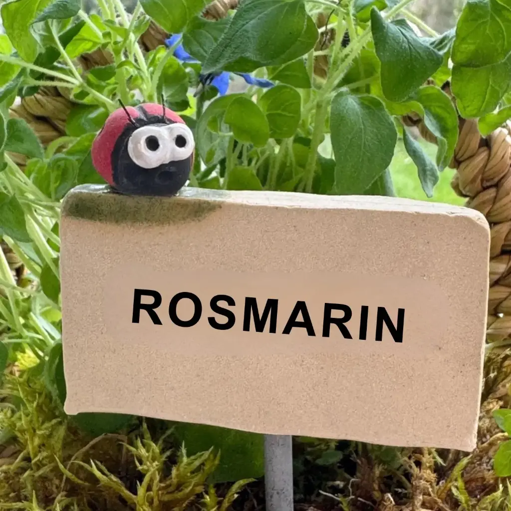 Kräuterstecker Rosmarin