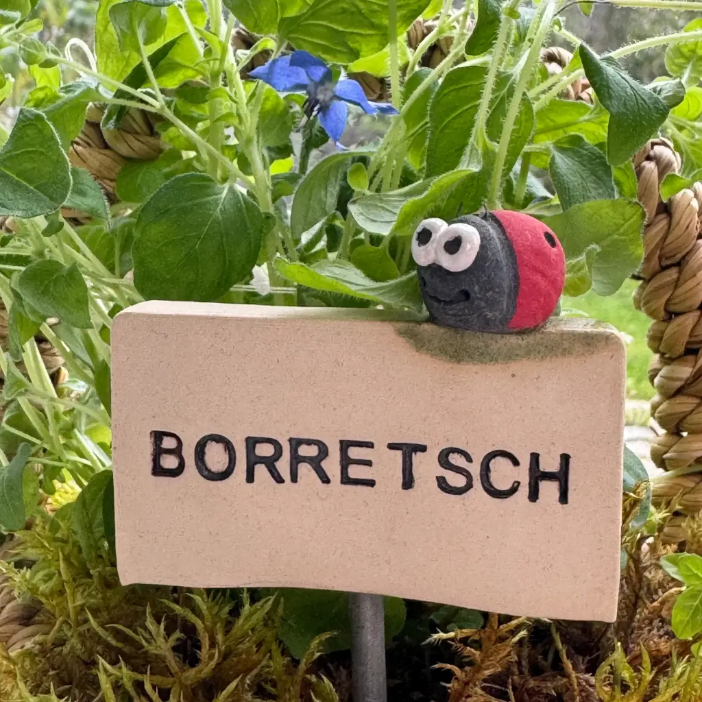 Kräuterstecker Borretsch