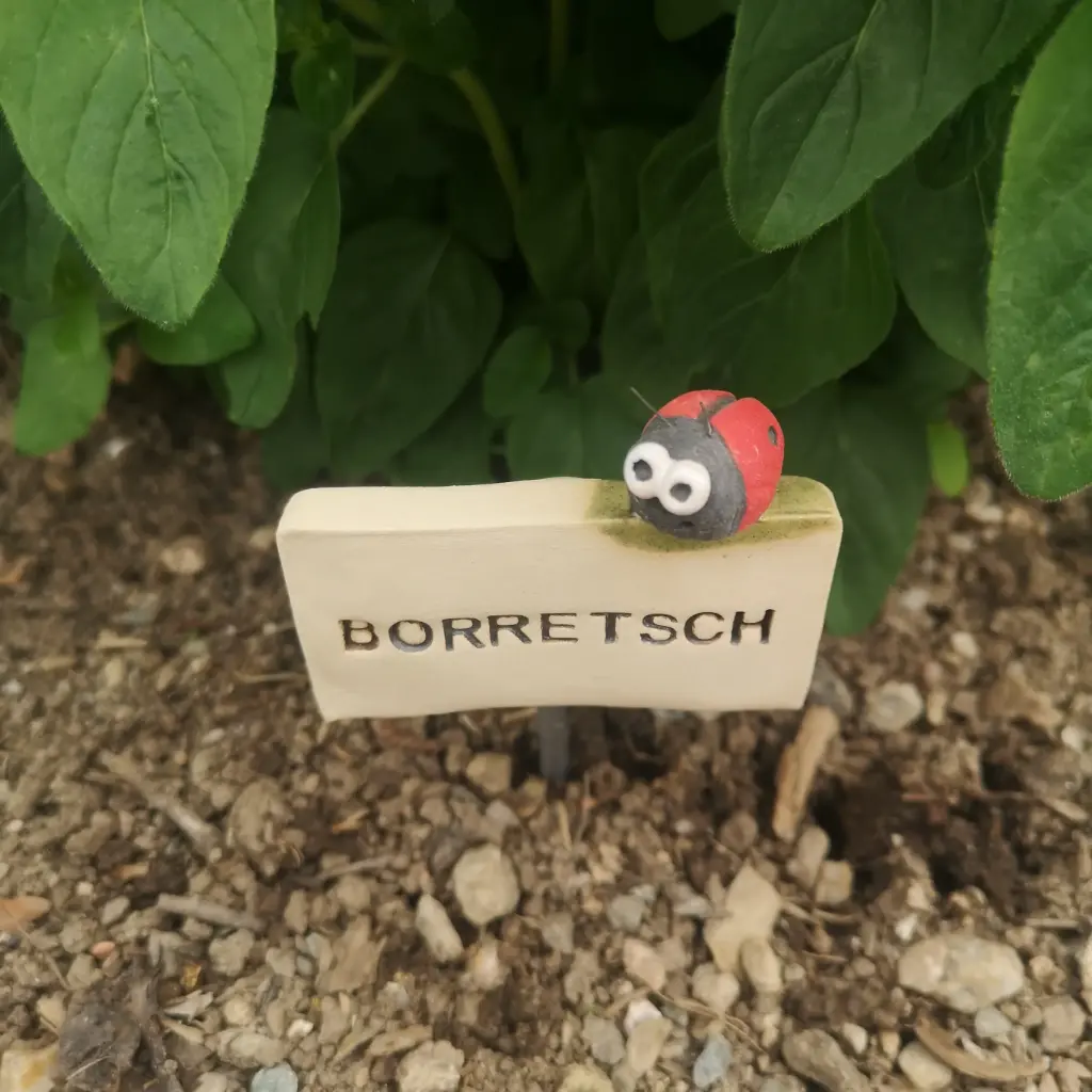 Kräuterstecker Borretsch