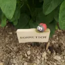 Kräuterstecker Borretsch
