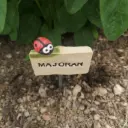 Kräuterstecker Majoran
