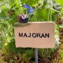 Kräuterstecker Majoran